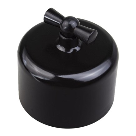 Выключатель поворотный, одинарный, пластик, черный, Jantera, JAD.0R01.PG01 - фото 110534