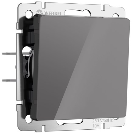 Выключатель одноклавишный (графит акрил), Werkel, W1110044 - фото 111149