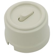 Выключатель/переключатель клавишный, проходной, одинарный, пластик, шалфей, Jantera, JCA.0K11.PG04