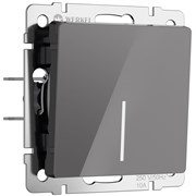 Выключатель одноклавишный проходной с подсветкой (графит акрил) W1112144