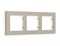 AF220363 Рамка ALFA Techno (Серо-бежевый матовый) 3-ая, AMBRELLA VOLT, AF220363 - фото 106807