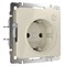 Умная розетка (слоновая кость), Werkel, W1171603 - фото 113784