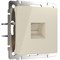 Розетка Ethernet RJ-45 (слоновая кость), Werkel, W1181003 - фото 114753