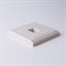 Розетка Ethernet RJ-45 (слоновая кость), Werkel, W1181003 - фото 114756