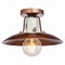 Потолочный светильник Lussole  Vermilion LSP-8162 - фото 82025 Потолочный светильник Lussole  Vermilion LSP-8162 - фото 82025