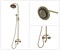 10121DF Комплект для ванной и душа двухручковый короткий (10см) излив, лейка двойной цветок, Bronze de Luxe - фото 88938